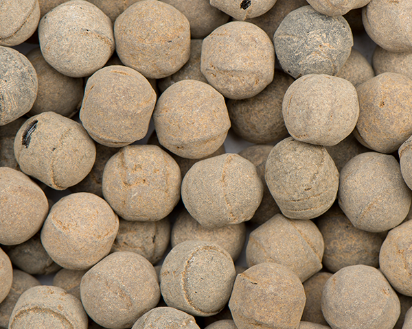 Salme ammoniacale di Kindly (3,5 kg)