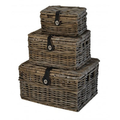 Dr. Wicker V-Ag Basket S con coperchio 25x17x13 grigio