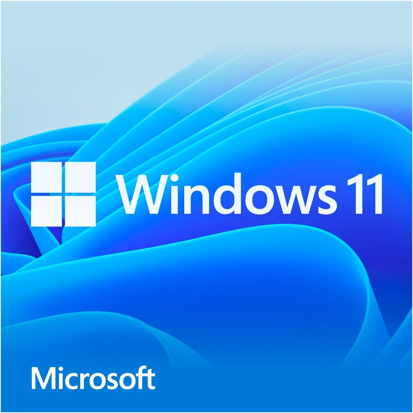Microsoft Windows 11 Home (holandés) SystemBuilder
