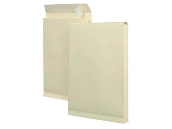 Bolsas de muestra pies 262 x 371 x 38 mm (125 piezas)