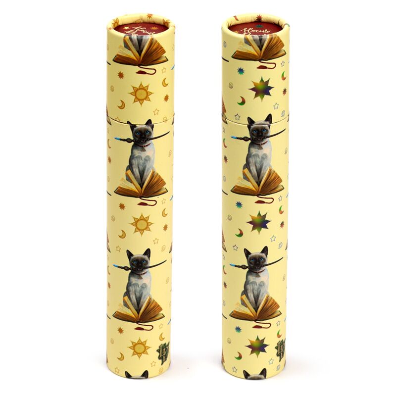 Lisa parker hocus pocus kat large tekenkoker 12 kleurpotloden