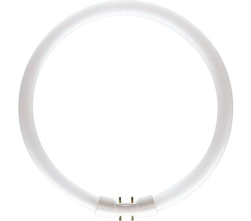 Philips TL5 Circular 55W 830 Master Blanco Cálido 2Gx13 | 10 piezas