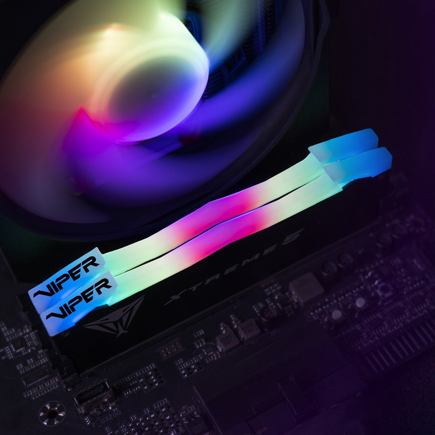 Patriot 32 GB DDR5-8000 Kit