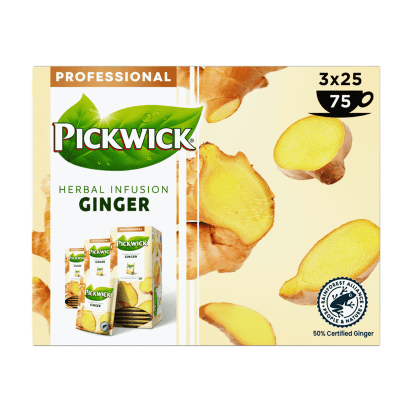 Jengibre profesional Pickwick (75x 1,75g)