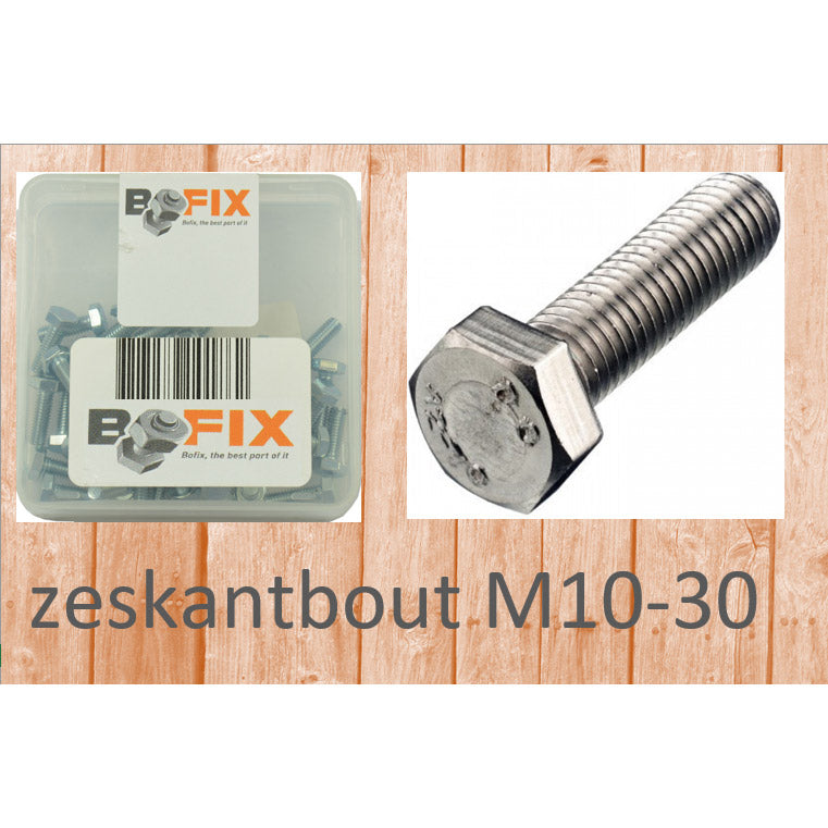 Bofix Hexagon Bolt M10-30 (12º)