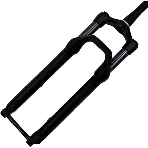 Forcella anteriore Rockshox 35 silver 29 t120 disco mtb originale