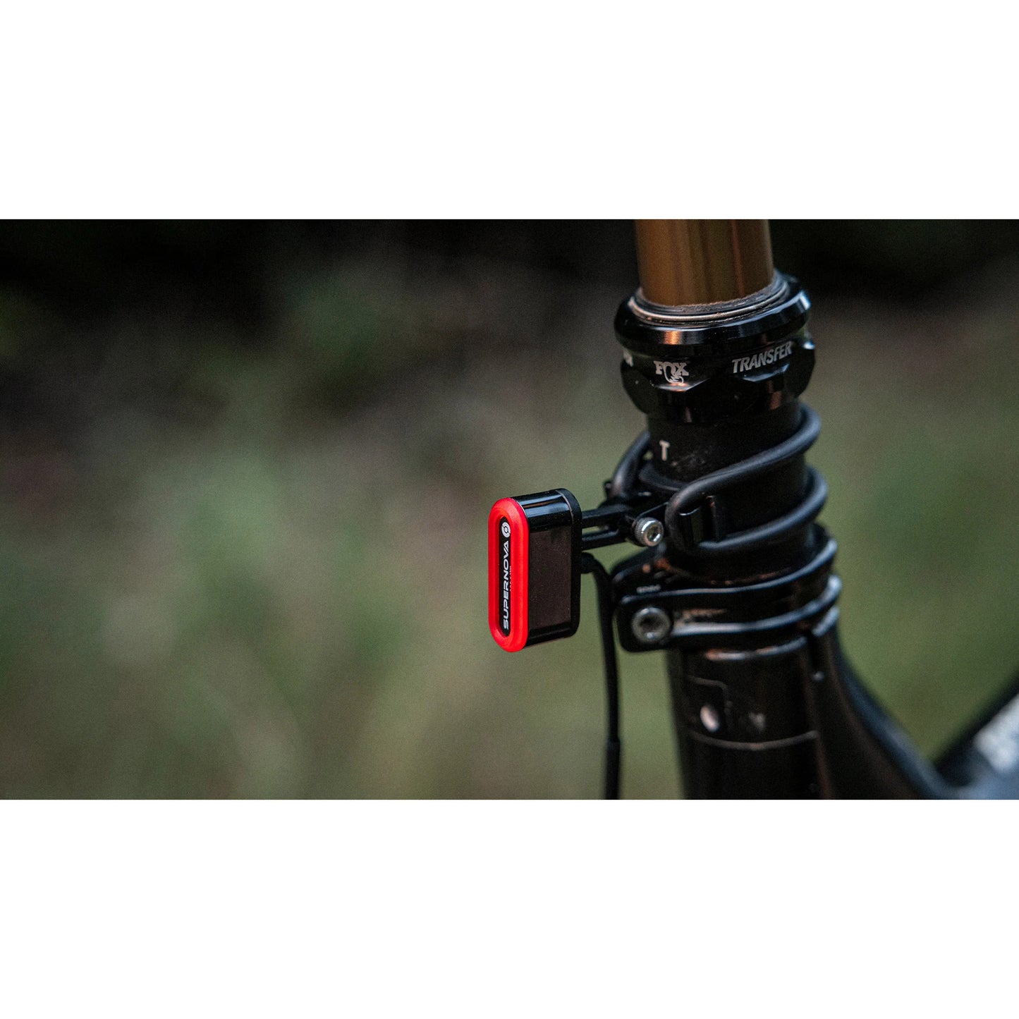 AXA Supernova Shellight Tl3 Mini Dynamo bagagli Rider 12V Black