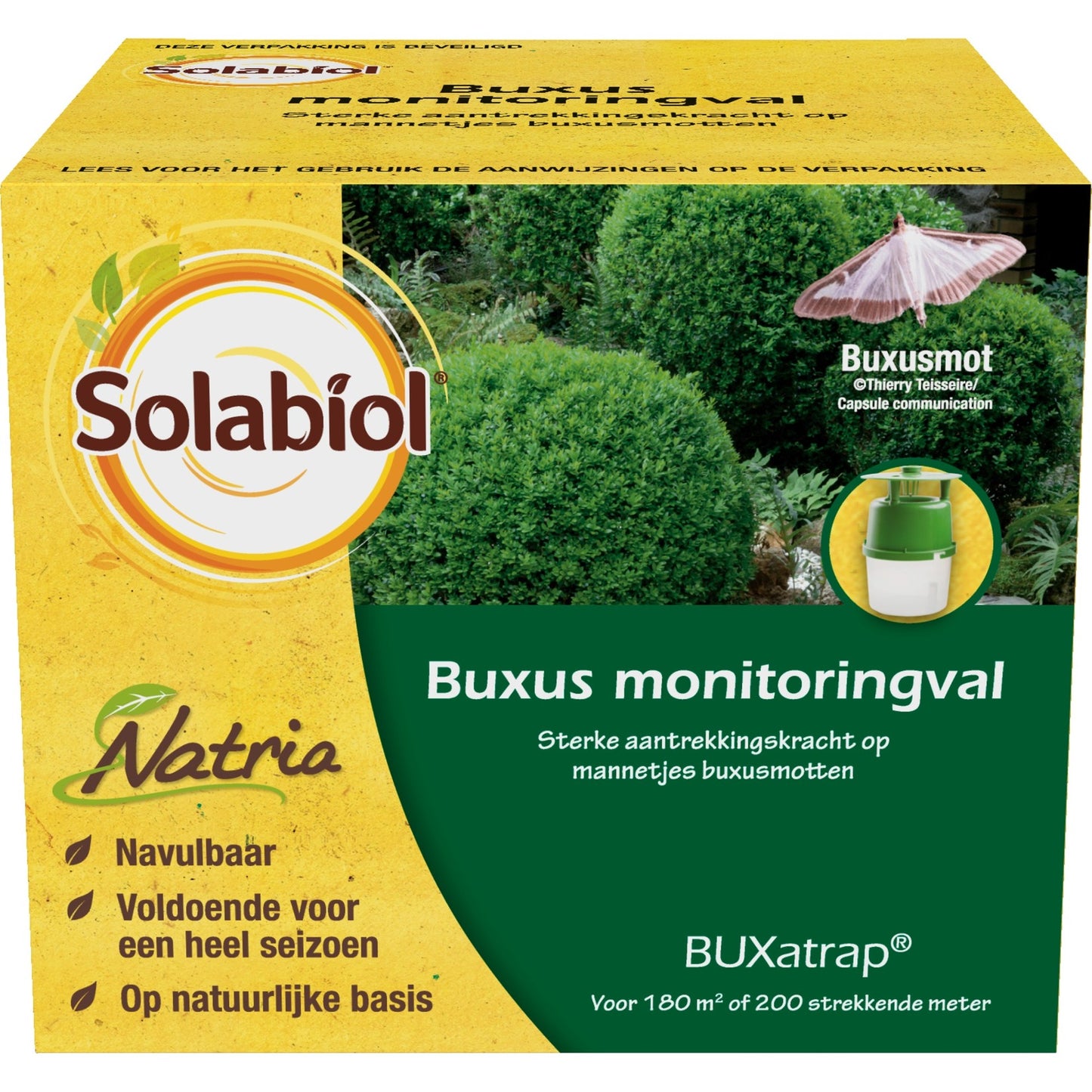 SBM Life Science Solabiool Buxatrap Buxus Monitoring Trap