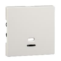 Placa central con ventana de control para interruptor de tiro