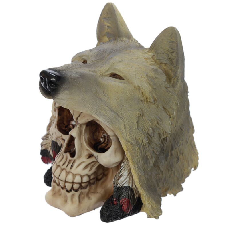 Skull with Wolf Head of Home Accessory