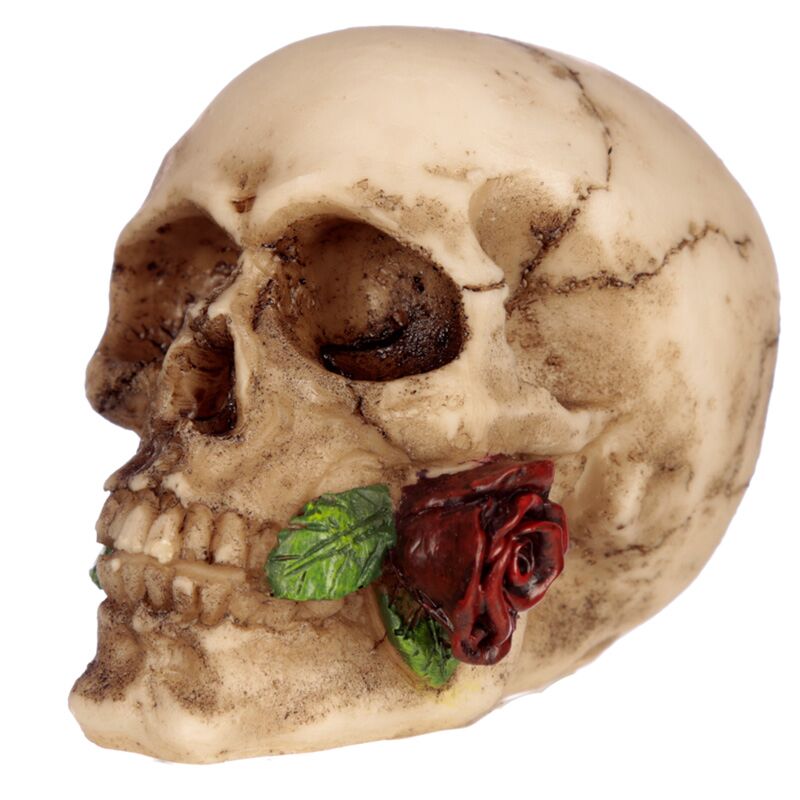 Calavera con rosa entre dientes accesorio para el hogar