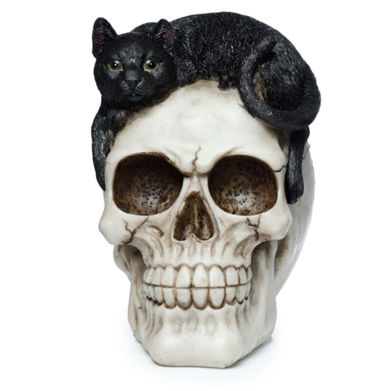 Skull con accessorio per la casa del gatto nero