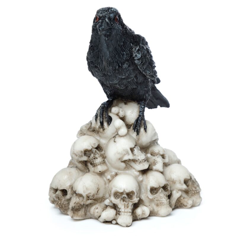 Crow sui teschi per l'accessorio per la casa