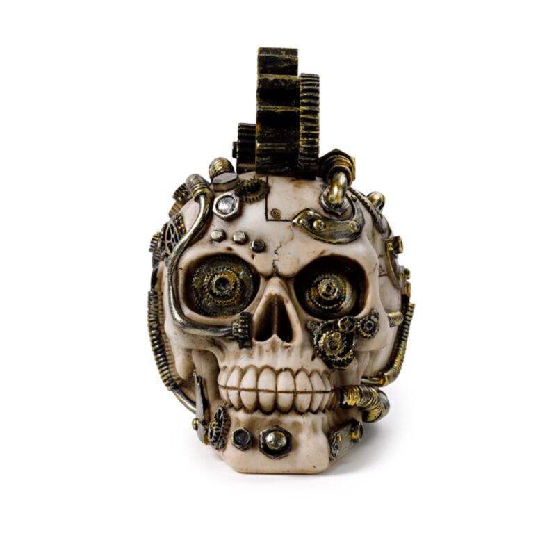 Skull in stile Steampunk con ingranaggi e piume Accessorio per la casa