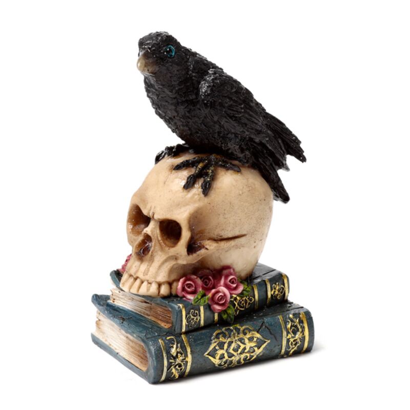 Libro de cuervo sentado en el cráneo