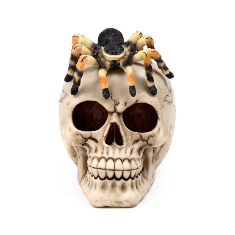 Cranio