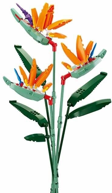 Fiori Sluban strelitzia reginae aiton (m38-b1121c)