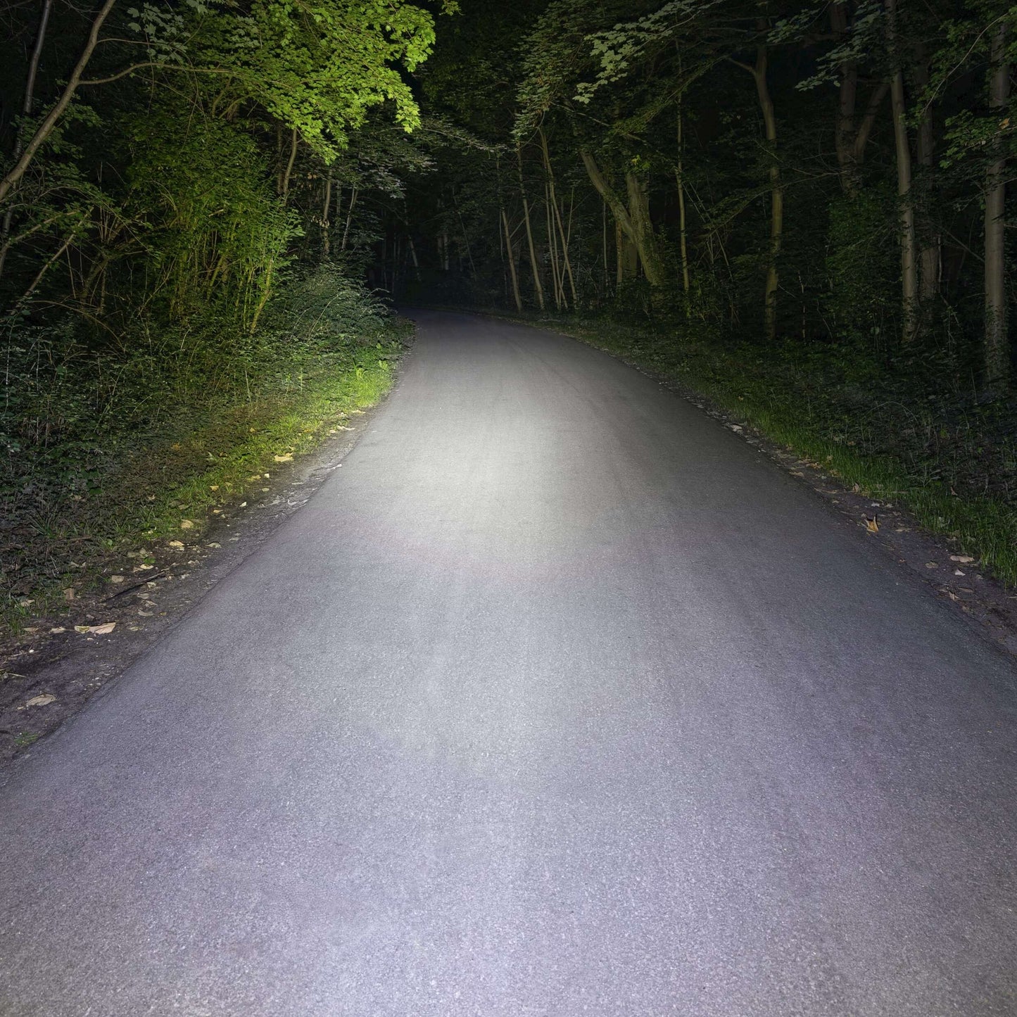 Set di illuminazione Sigma Buster 800 USB + Buster RL 80 Flash USB