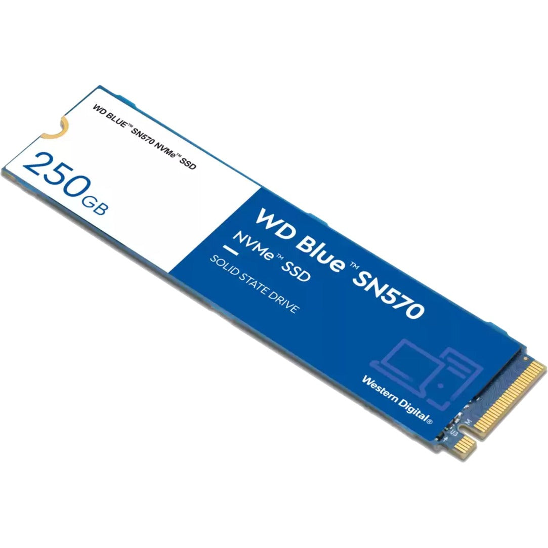 WD Blue SN570 250 GB