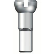 Sapim Spaak Nipple 12 (500)