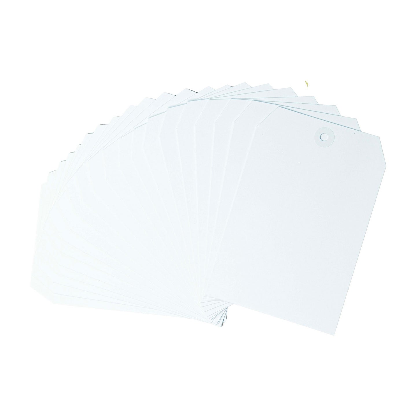 Studio light • targhette per collezione firma con rinforzi sui fori