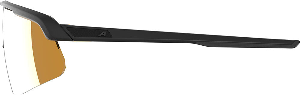 Alpina turbo pro s q - gafas deportivas