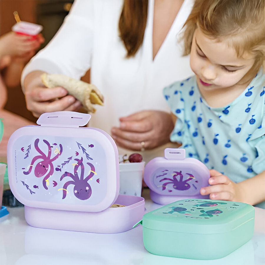 Amuse Lunch Box polpo viola medio