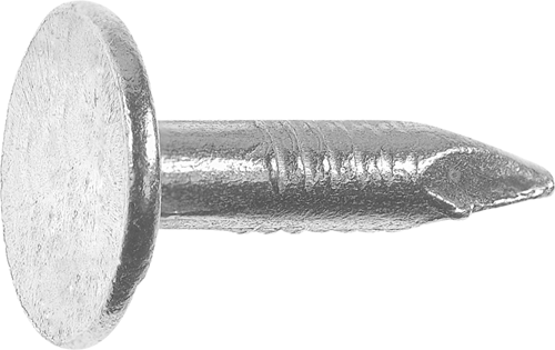 Connex schalienagel 2.8x12 vz emmer 1.0kg - b30121