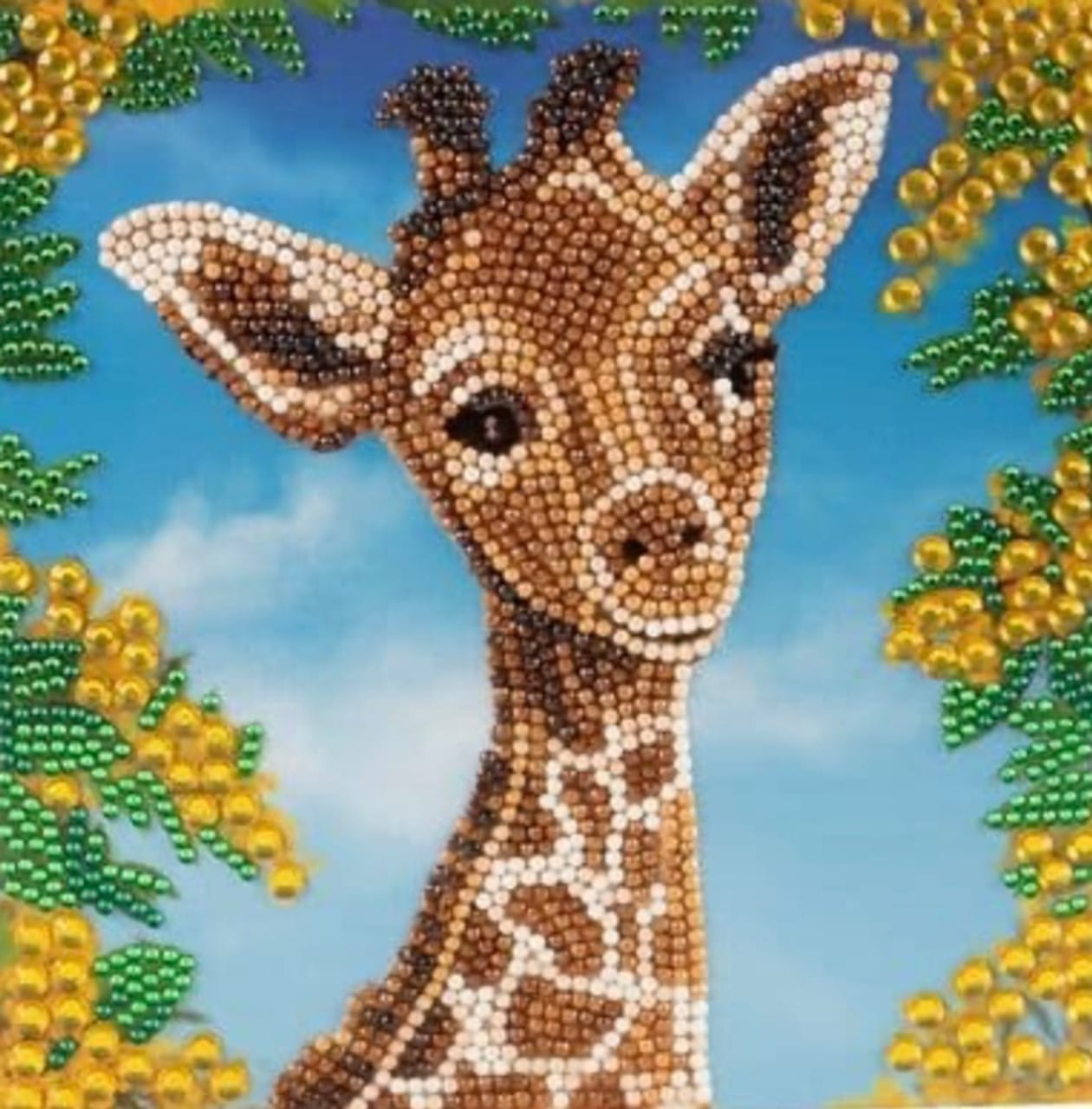 Diamond Painting Baby Giraffe Saluto Ciglia con busta