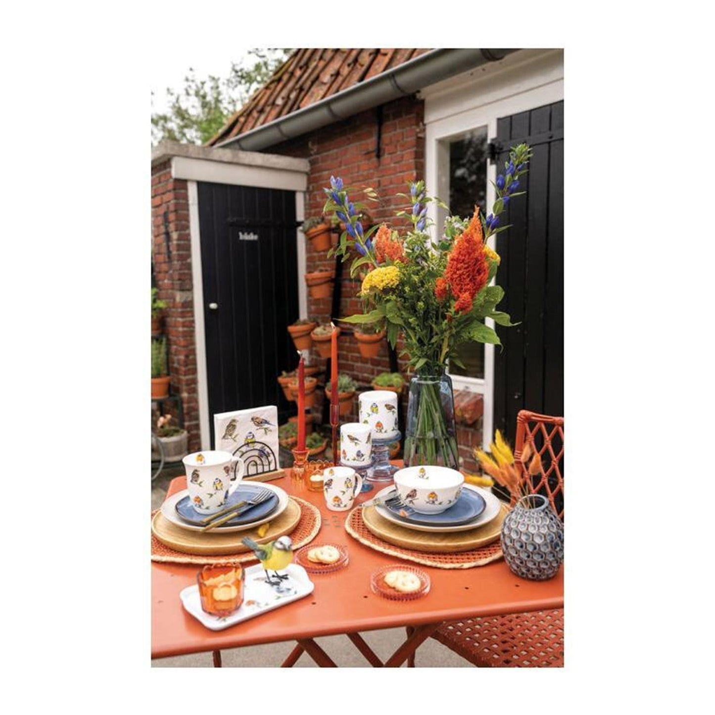 Ambiente vetro specie di uccelli bianco