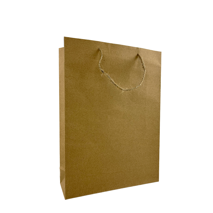 Sacchetto regalo kraft paper medium