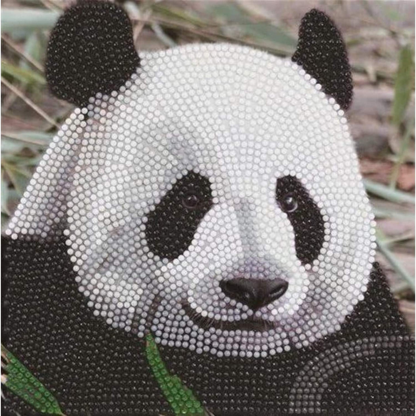 Panda della mappa di pittura di diamanti