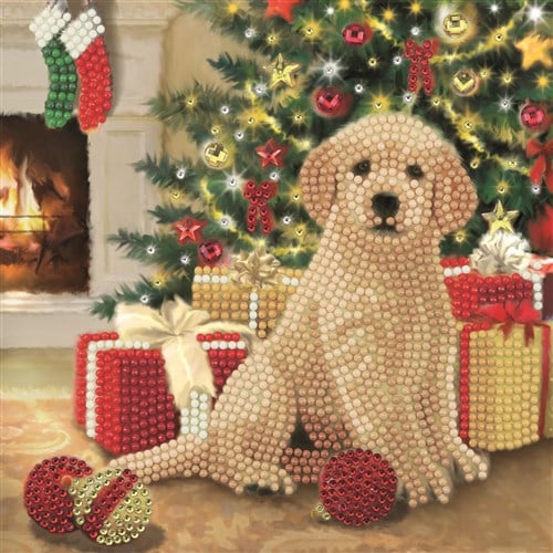 Pintura de diamantes con tarjeta de Navidad apos;