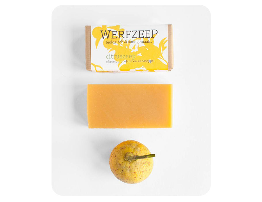 Werfzee werf sapone agrus sapone 100 gr