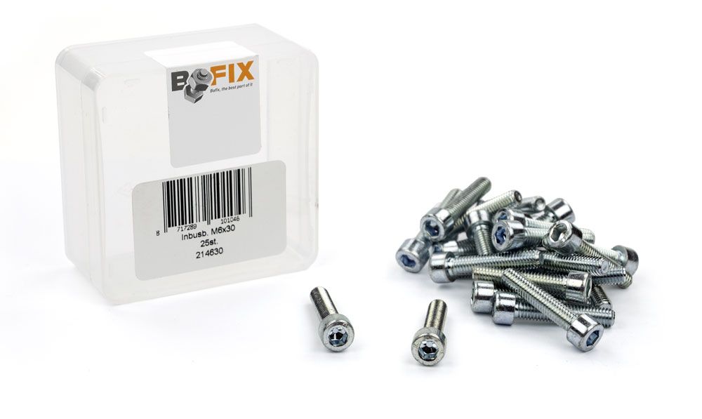Bofix Allenbout M6x30 Galvanized (25st)