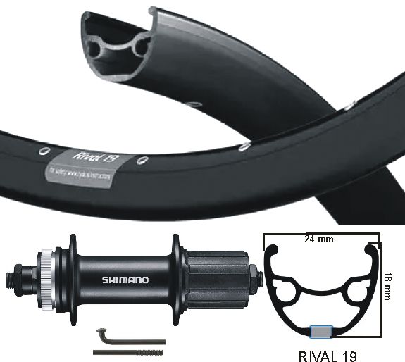 Ruota posteriore kgs 28 pollici (622) rivale ZAC + spaak zw cass central 7 sp