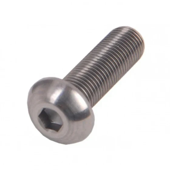 Roveba bolkop inbusbout m6 x 20 rvs (25) - 462620