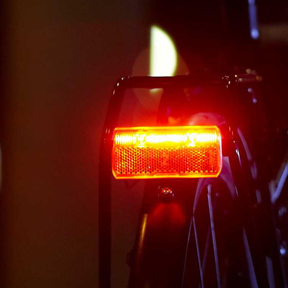 Carrier Light Busch Müller Toplight E Brex - Adecuado para E -Bikes