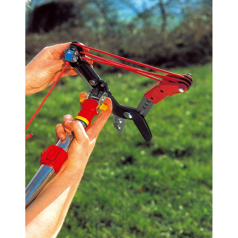 Albero multi-star di lupo-garten Schaar vario rc-vm