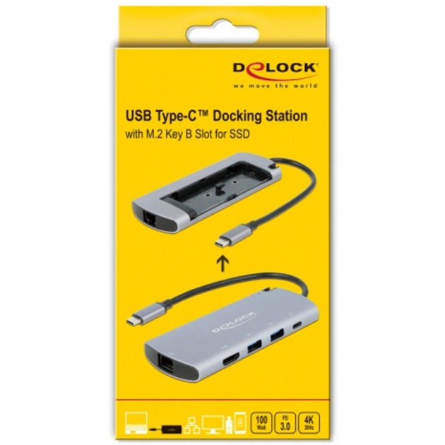 DELOCK USB Type-C Stazione di docking con slot M.2