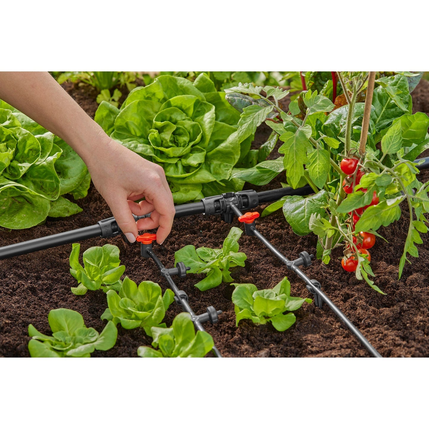 GardenA Micro-Drip-System T-Piece 1 2 "-3 16