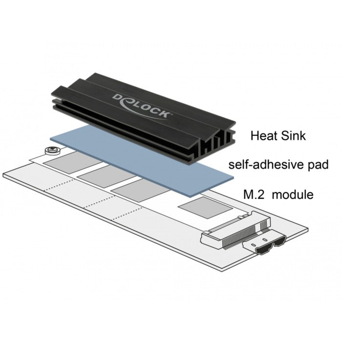 DELOCK CHEATSINK 70 mm per il modulo M.2