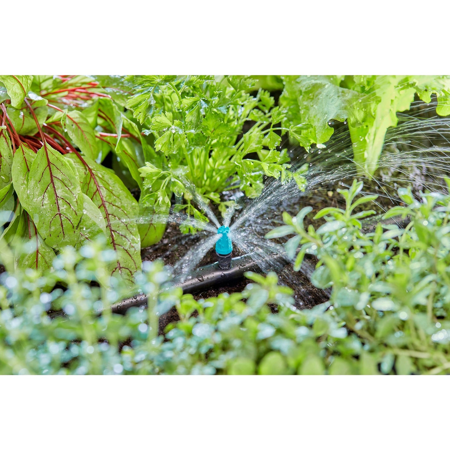 Gardena sproeier voor kleine oppervlakken (zwart turquoise, 10 stuks)