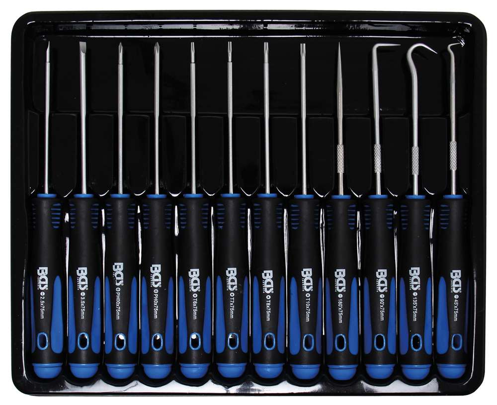 Set cacciaviti e ganci meccanici di precisione Bgs Technic 12 pezzi