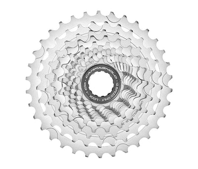 Campa. CS20-CH1219 Cassetta chorus 12V 11-29