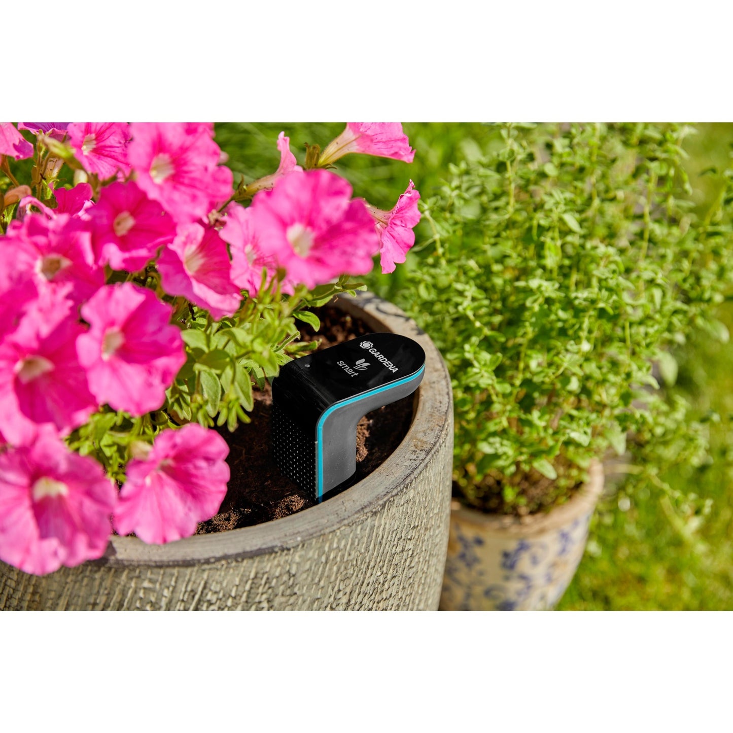 Sensor de jardinera