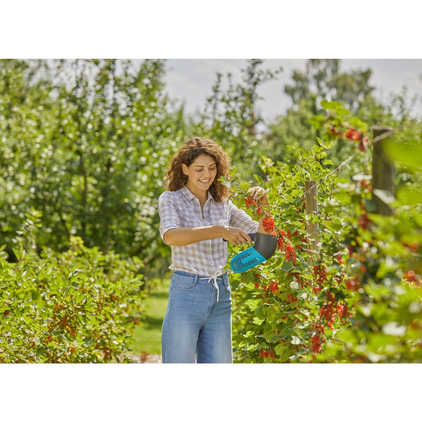 Set di raccolta di bacche combisystem di gardena