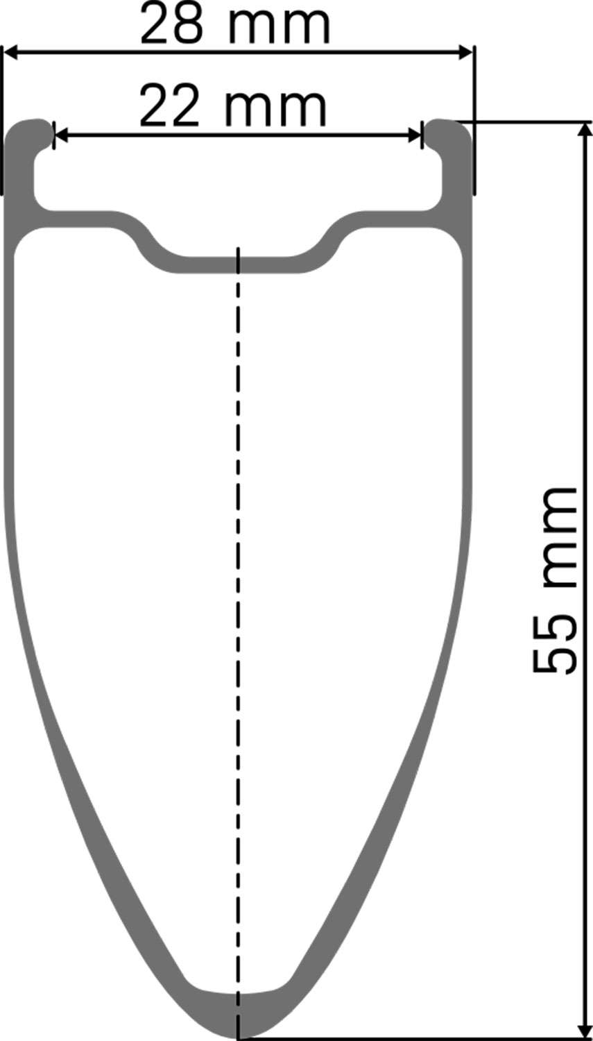 Ruota posteriore in carbonio DT Swiss Arc 1100 Dicut® 55 28 Disc Cl Shimano HG