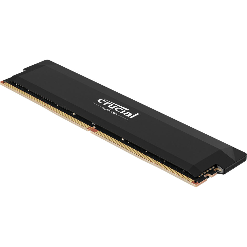 RAM Crucial DDR5-6000 da 16 GB (nera, CP16G60C36U5B, Pro, XMP 3.0, Expo)