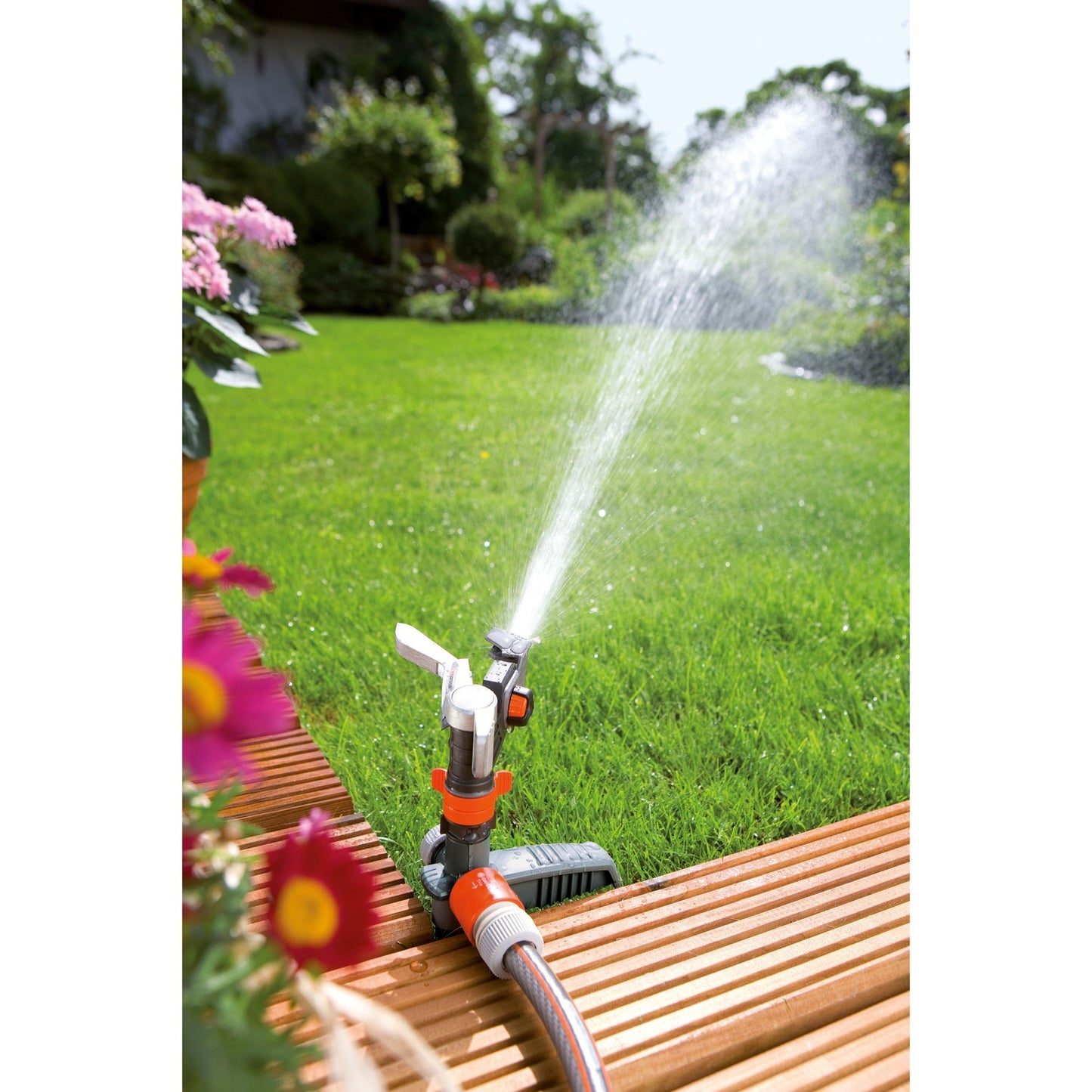 Settore pulsante premium e spruzzatore circolare